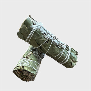 Rolled eucalyptus & sage smudge stick tied with white string on a light gray background