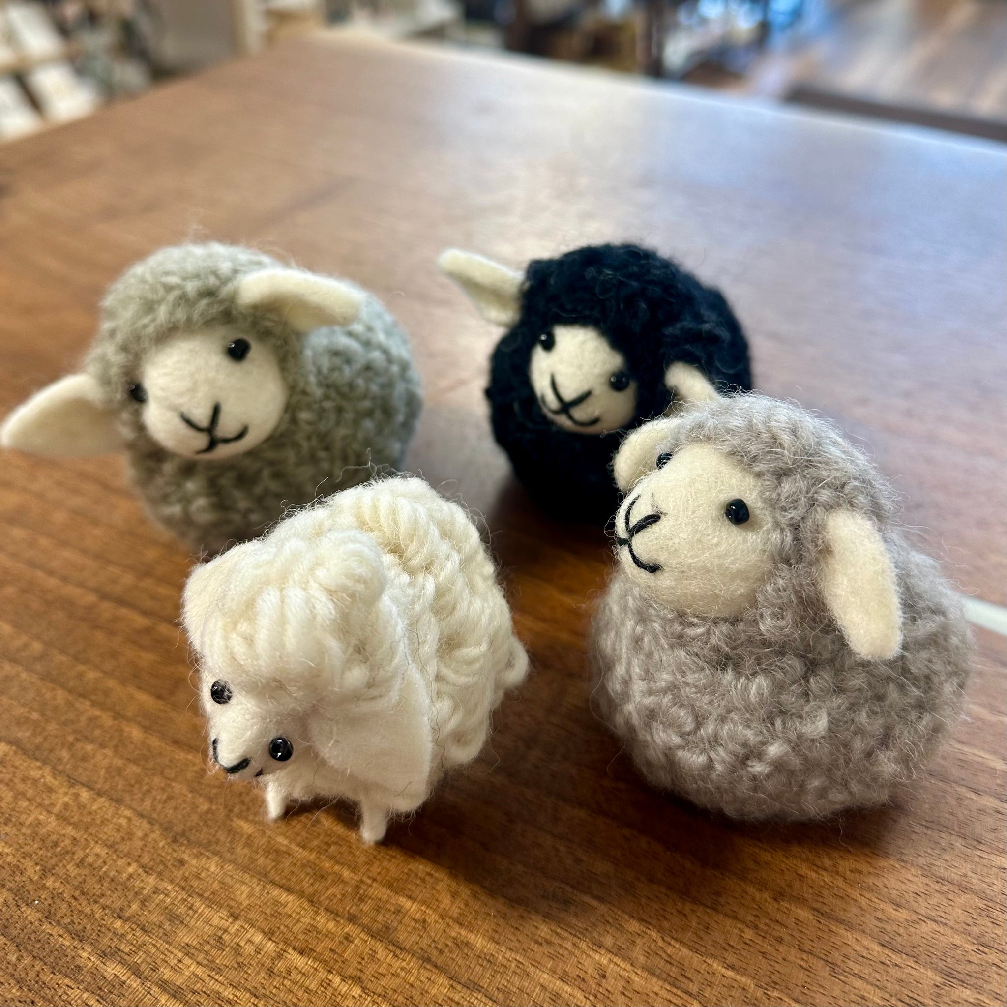 sheep