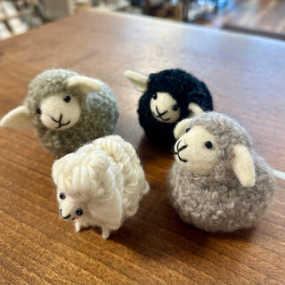 sheep