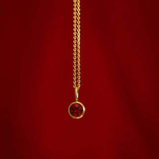 Gold necklace with a red gemstone pendant on a red background