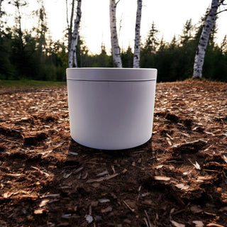 Crackling Birch Scented Soy Wax Candle with Crackling Wood Wick