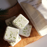 Hudson Soap Co. - Shower Steamer Pack Hudson Soap Co.