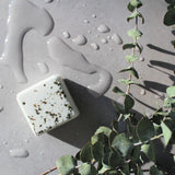 Hudson Soap Co. - Single Shower Steamer Hudson Soap Co.
