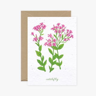 Mumbleweeds - Flowers Cards