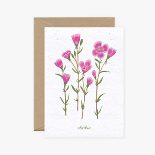 Mumbleweeds - Flowers Cards